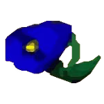 blue magic red flower