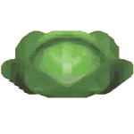 cabbage