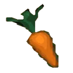 carrot
