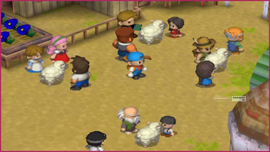 sheep festival