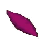 sweet potato