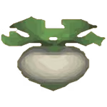 turnip