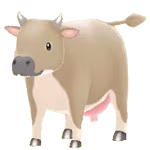 brown cow female