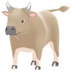 brown cow male