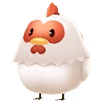chicken female
