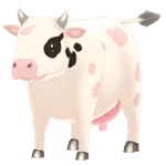 marble cow female