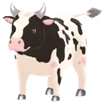 marble cow male
