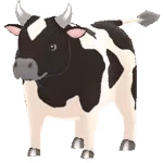 normal cow male